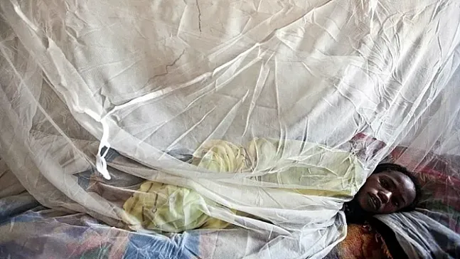 Nijerya'da Lassa Ateşi Kabusu!