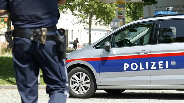 Viyana'da Gündüz Vakti Müze Soygunu! Mısır Kraliyet Ailesinin 200 Karatlık Kolyesi Çalındı