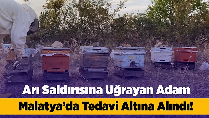 Arıların Saldırdığı Adam Malatya’da Tedavi Altına Alındı!