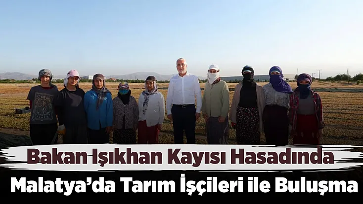 Bakan Işıkhan Malatya’da Kayısı Hasadında Tarım İşçileri ile Buluştu