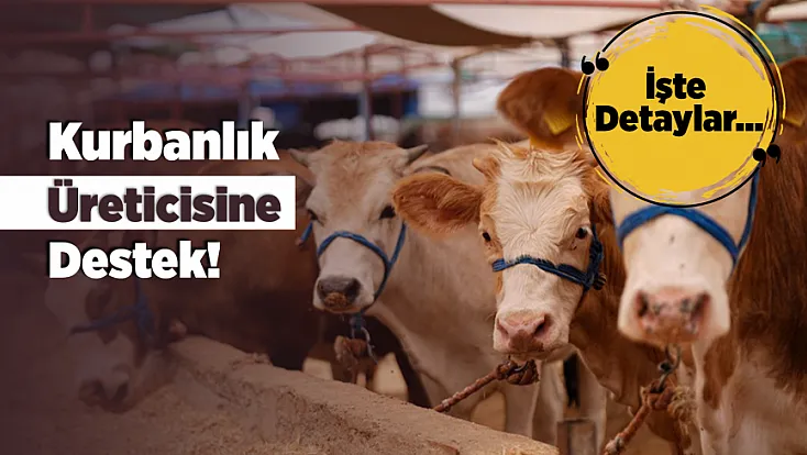 Bayram Sonrası Malatya'da Elde Kalan Kurbanlıklar Alınacak!