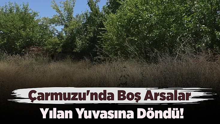 Çarmuzu'nda Yılan Alarmı! Mahalleli Tedirgin