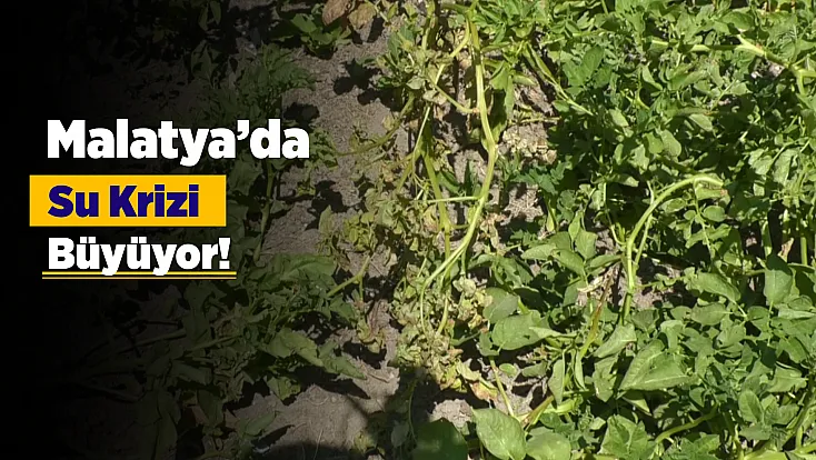 Deprem Sonrası Malatya Konak Mahallesi'nde Tepki! Su Yok, Yol Yok, Hizmet Bekleniyor