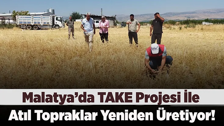 Devlet Desteği Sonuç Verdi! Malatya'da 500 Tonluk Rekolte Bekleniyor