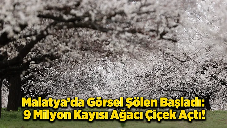 Dünya Kayısı Başkenti Malatya’da Görsel Şölen: Bahçeler Beyaza Büründü!