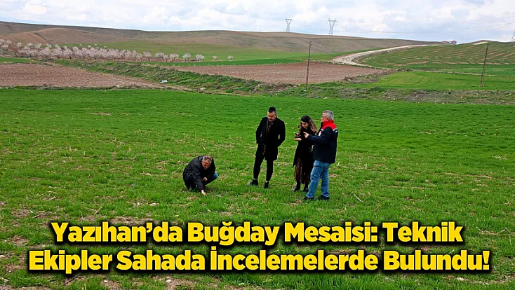 Hasatta Verim Kaybına Geçit Yok: Teknik Ekipler Boyaca'da Çiftçilerle Buluştu!