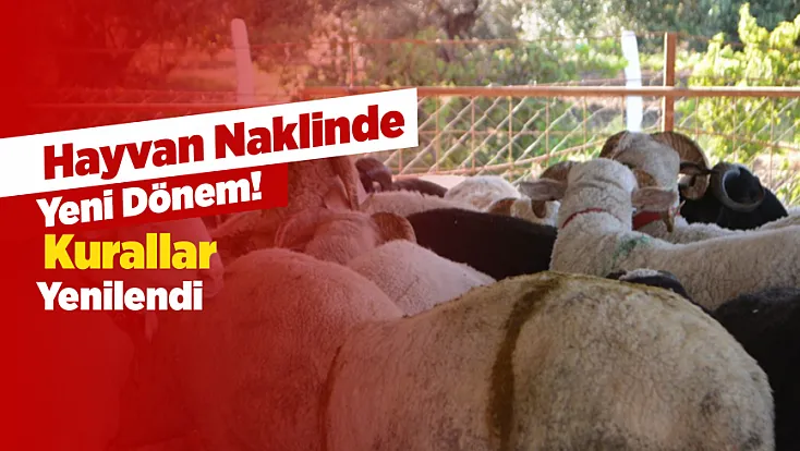 Hayvan Sahipleri Dikkat! Yeni Nakil Düzenlemesi Yürürlükte