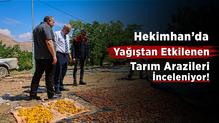 Hekimhan'da Ekipler Tarlalarda Hasar Tespitine Başladı!