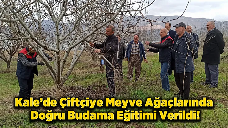 Kale’de Meyve Üreticisine Budama Dersi: Yanlış Budama Verimi Düşürüyor!