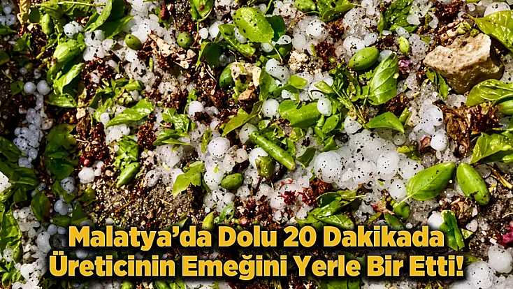 Kayısı  Ağaçlarını Dolu Vurdu! Darende’de Hasar Büyük