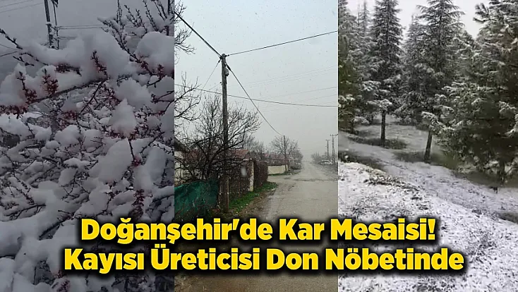 Kayısı Bahçelerinde Don Alarmı! Doğanşehir Beyaza Büründü