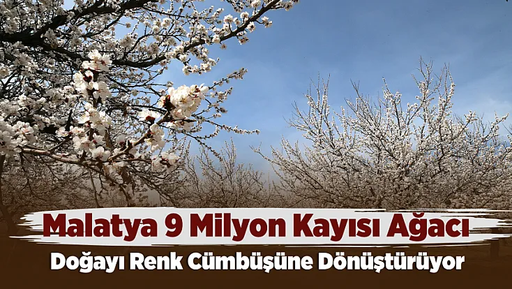 Kayısının Başkenti Malatya’da Doğa Her Mevsim Yeniden Canlanıyor!