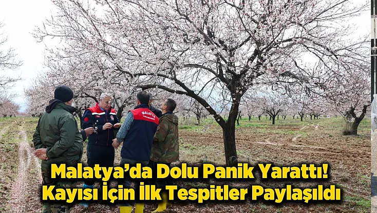 Kayısıyı Dolu Vurdu mu? Malatya’da Kayısı İçin Kritik Açıklama!