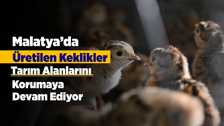 Kimyasal Yerine Doğal Çözüm! Malatya'dan Zararlılarla Mücadeleye Destek