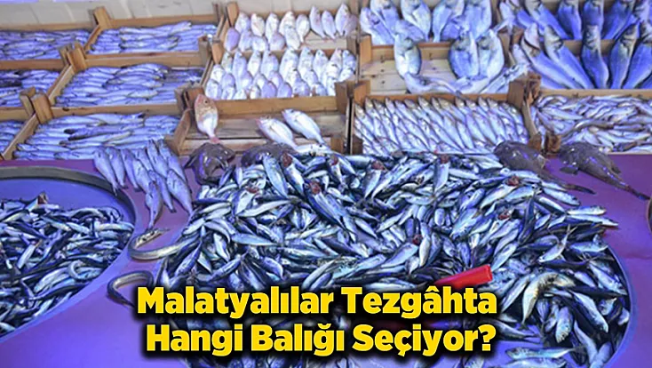 Balık Pazarı’nda Sürpriz Tercih: Favori Belli Oldu