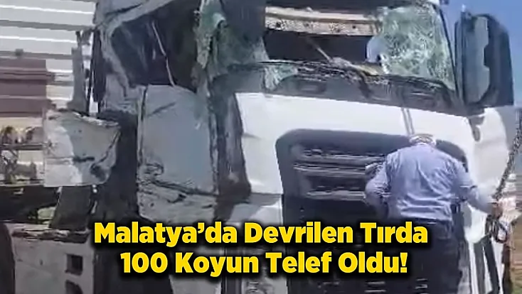 Malatya Arapgir'de Feci Kaza! Hayvan Yüklü Tır Devrildi, Yol Savaş Alanına Döndü