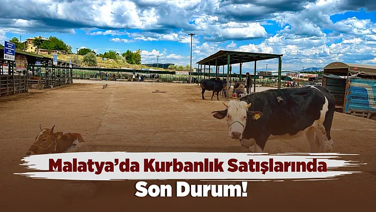 Malatya Canlı Hayvan Pazarı’nda Bayram Dengesi!