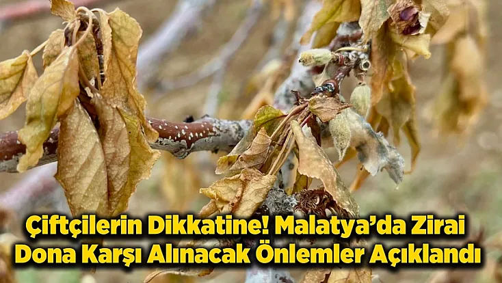 Malatya Çiftçilerine Kritik Uyarı! Zirai Dona Karşı Nasıl Tedbirler Alınmalı?