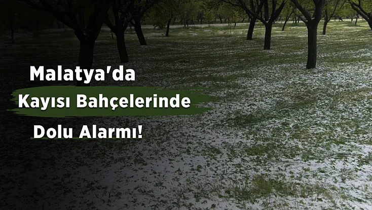 Malatya’da 10 Dakikalık Dolu Kabusu! Yollar Beyaza Büründü, Tarım Arazileri Zarar Gördü