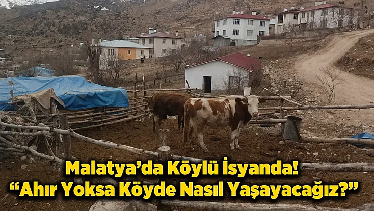 Malatya’da Ahır Krizi! Proje Eksikliği Üretimi Bitirdi