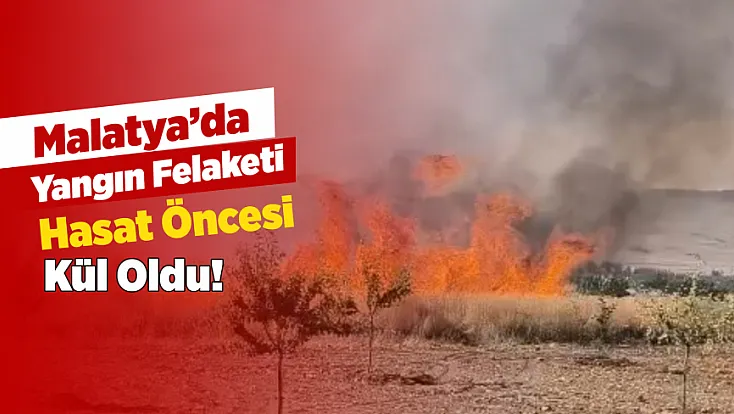 Malatya’da Alevler Buğday Tarlasını Yuttu