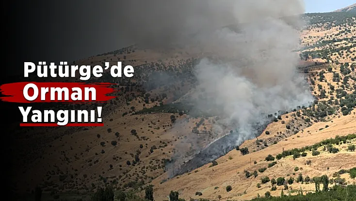 Malatya’da Alevler Ormanlık Alana Sıçradı! Müdahale Sürüyor