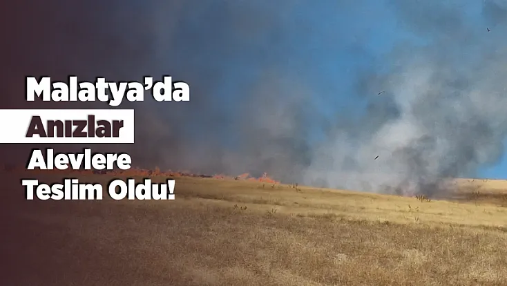 Malatya’da Anızlar Alev Aldı! Yangının Bilançosu Belli Oldu