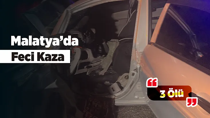Malatya Arguvan'da Kaza! Aynı Aileden 3 Kişi Hayatını Kaybetti