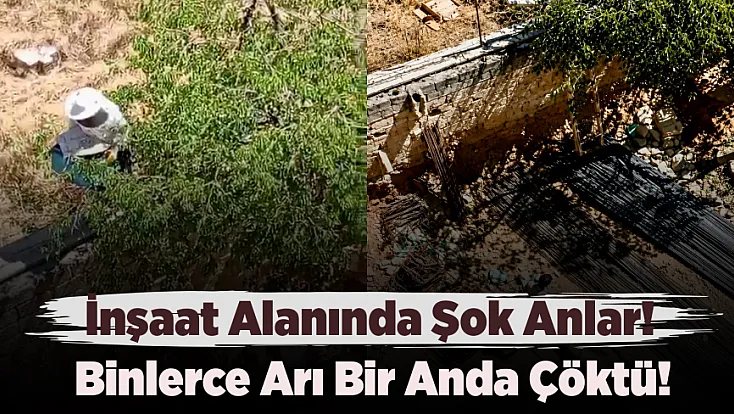 Malatya’da Arı Sürüsü Nedeniyle Şantiye Tahliye Edildi
