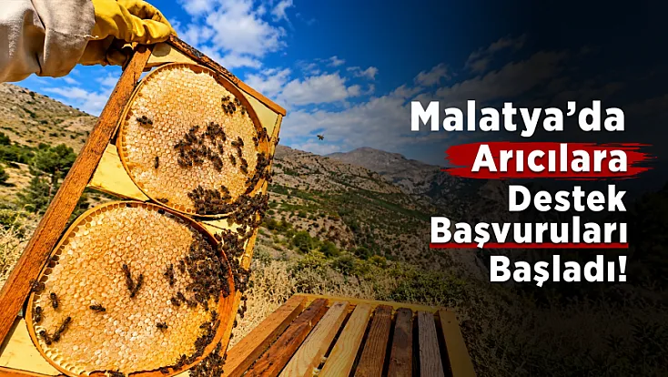 Malatya’da Arıcıların Beklediği Haber Geldi! Destek Başvuruları Açıldı