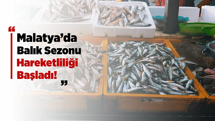 Malatya’da Balık Sezonu Başladı! Tezgahlarda Fiyatlar Belli Oldu