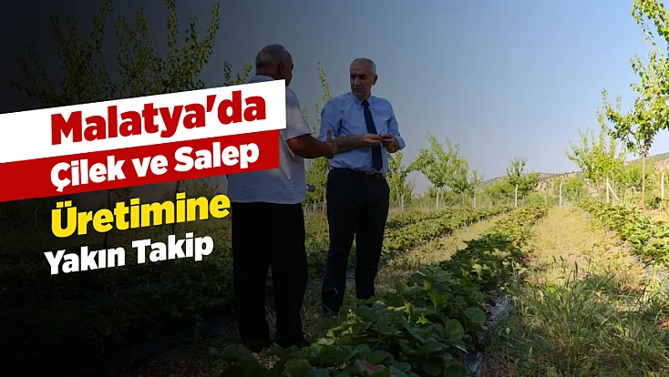 Malatya'da Çilek, Salep Ve Kayısı Bahçelerinde İnceleme!