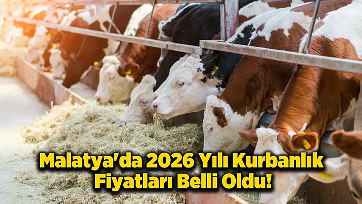 Malatya'da Dana, Düve ve Kesim Ücretleri Açıklandı!