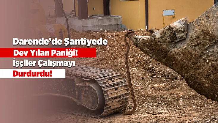 Malatya’da Dev Yılan Paniği! Şantiye Bir Anda Karıştı