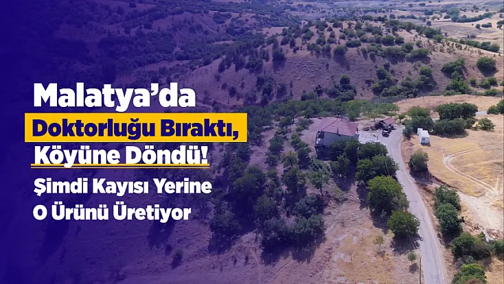 Malatya'da Doktorluğu Bıraktı, Köyüne Döndü! Şimdi Kayısı Yerine Bunu Üretiyor
