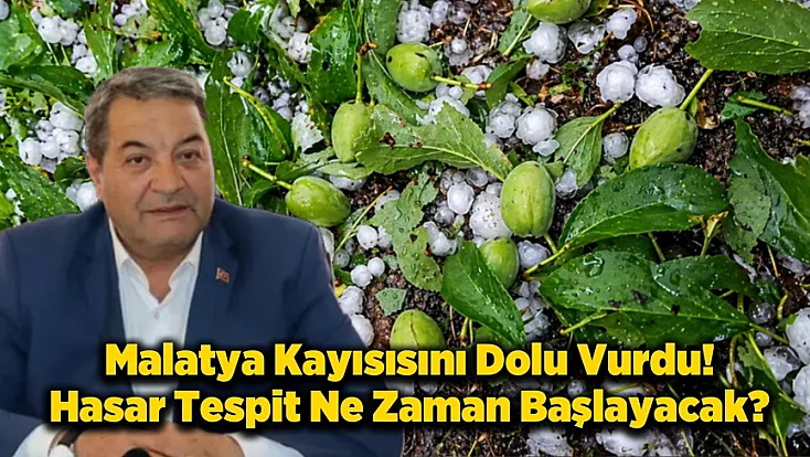 Malatya’da Dolu Kayısıyı Vurdu, Hasar Tespiti Başlayacak mı?