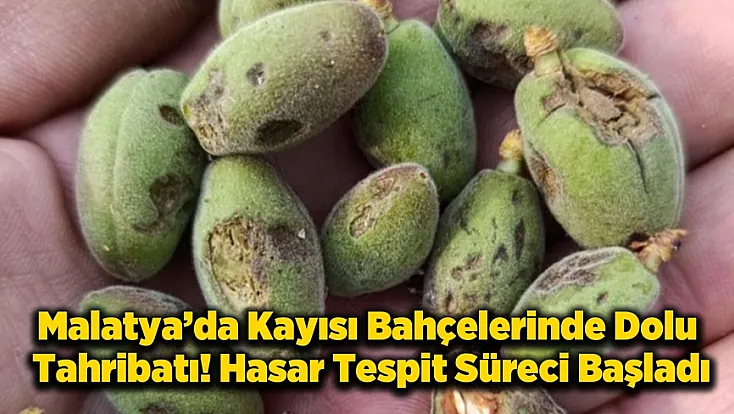 Malatya’da Dolu Tarım Arazilerini Vurdu! Vali Yavuz’dan Hasar Tespiti Talimatı