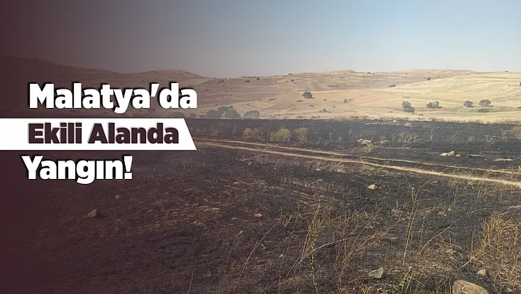 Malatya'da Ekin Tarlası Alevlere Teslim Oldu!