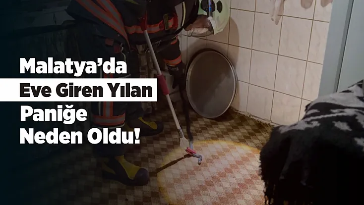 Malatya’da Eve Giren Yılan Paniğe Neden Oldu!
