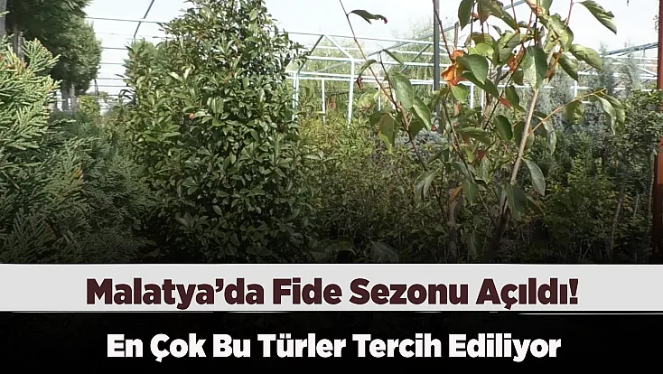 Malatya’da Fidan Pazarının Gözdeleri Belli Oldu