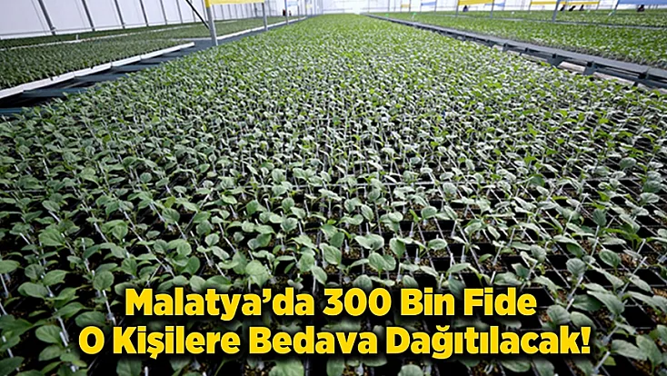 Malatya'da Fide Dağıtımı İçin Başvuru Tarihleri Netleşti!