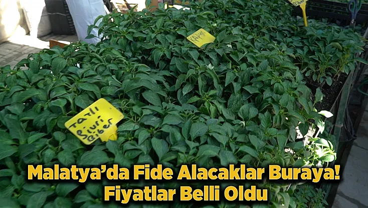 Malatya’da Fide Sezonu Açıldı! İşte En Çok Satılan Ürünler