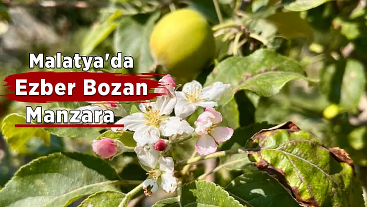 Malatya’da Görülmemiş Doğa Olayı