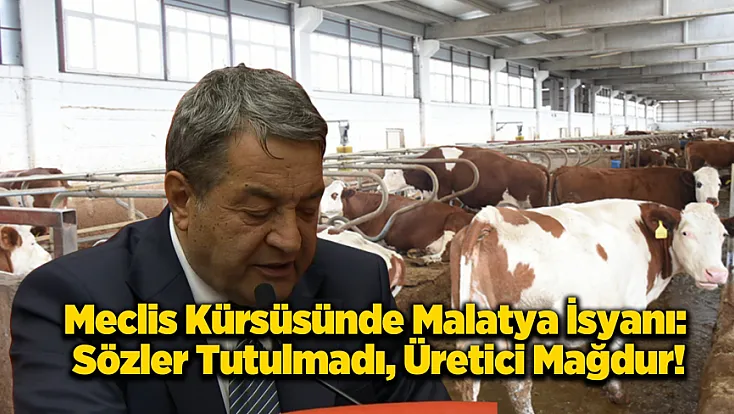 Malatya’da Hayvancılık Alarmı: Vaatler Havada Kaldı, Besici İsyanda!
