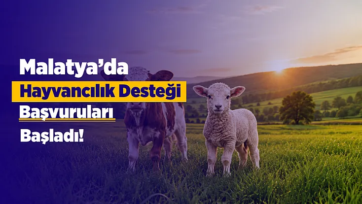 Malatya’da Hayvancılık Destekleme Başvuruları Başladı! Son Tarih Belli Oldu