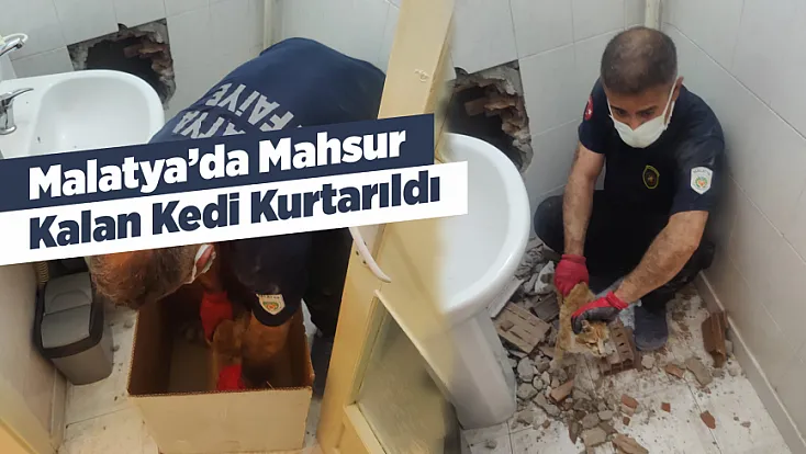 Malatya'da İki Bina Arasında Mahsur Kalan Kedi Kurtarıldı!