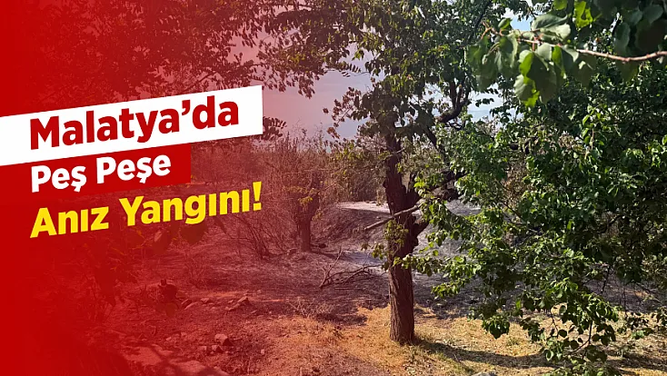 Malatya’da İki İlçeyi Ayağa Kaldıran Yangın Rüzgarla Yayıldı!