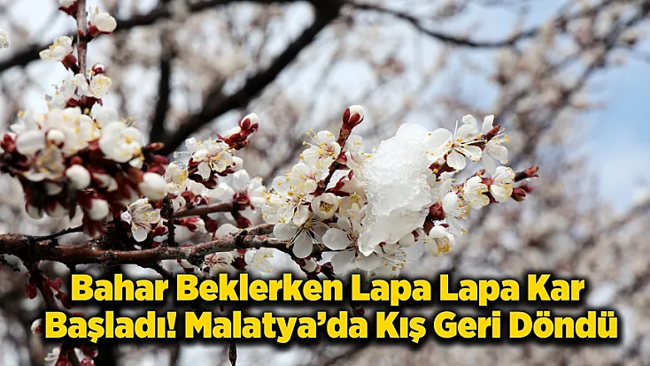 Malatya’da Kar Mesaisi! Üretici Don Riskine Karşı Teyakkuzda