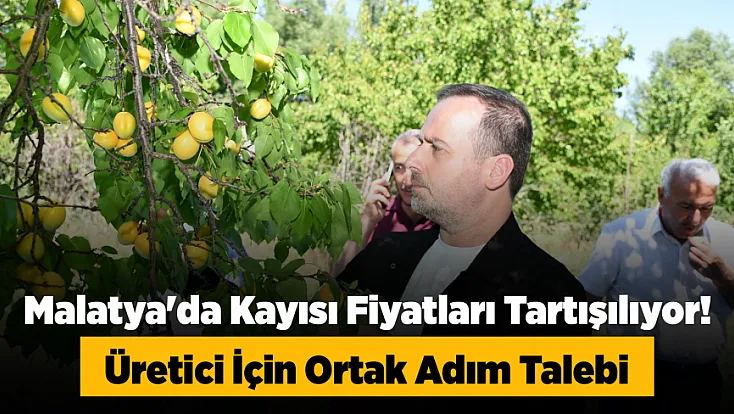 Malatya'da Kayısı Alarmı! Fiyatlardaki Düşüş İçin Acil Çağrı