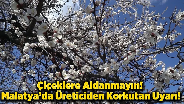 Malatya’da Kayısı Alarmı: Maliyetler Katlandı, Verim Düştü, Üretici Çaresiz